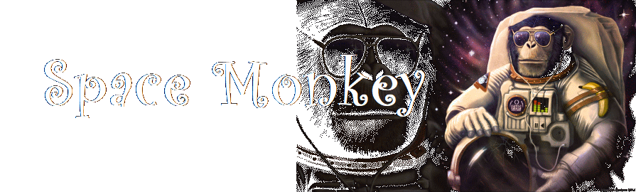 Space Monkey Birmingham midlands covers band banner